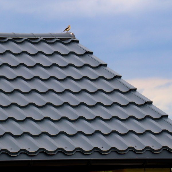IMG_2343_1